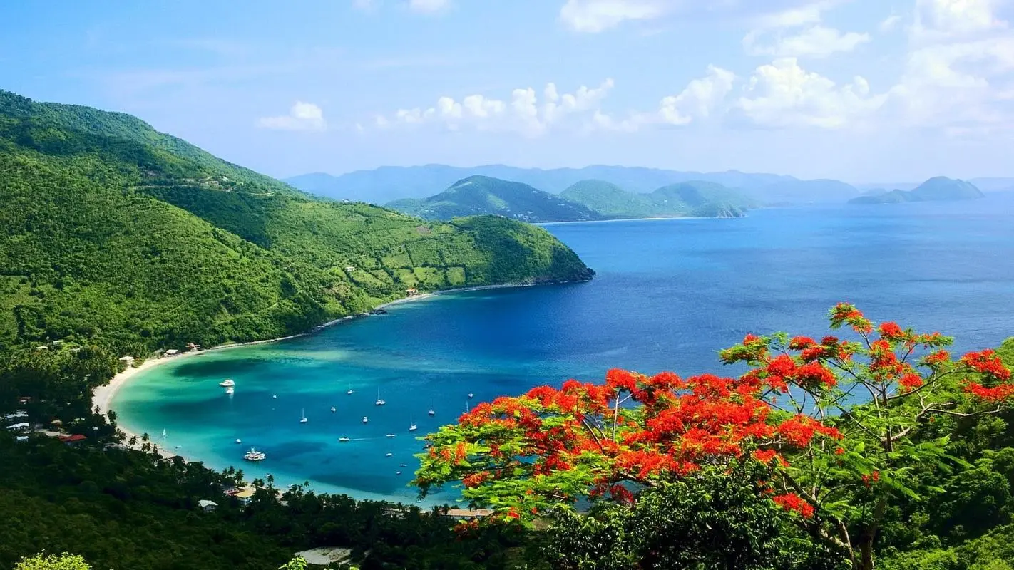 高标准稳定性高质量